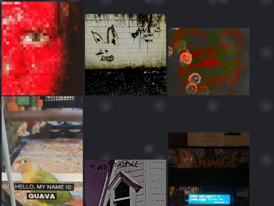 Photo-Gallery screenshot