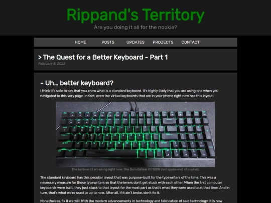 posts/2025/02/ergo-keyboard-saga-1 screenshot