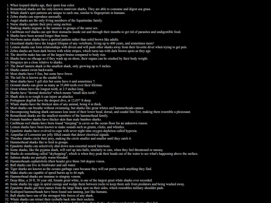 sharkfacts screenshot