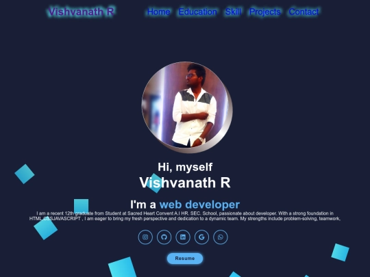 portfolio/vishva home screenshot