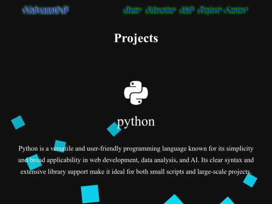 portfolio/vishva project screenshot