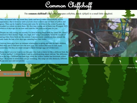 chiffchaff screenshot