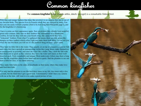 ckingfisher screenshot