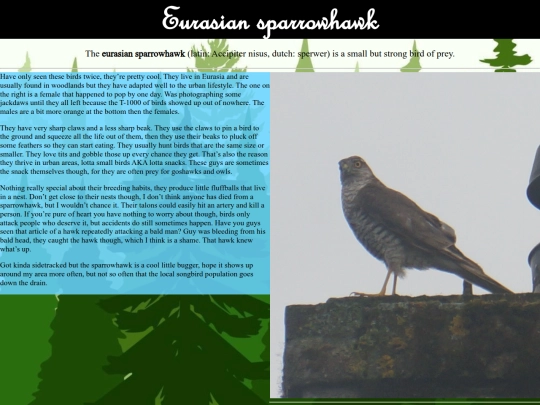 eusparrowhawk screenshot