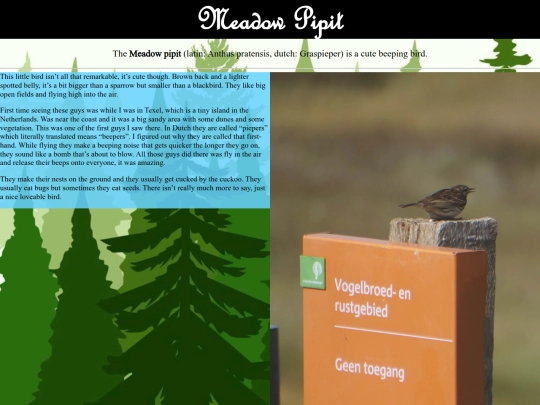 meadowpipit screenshot