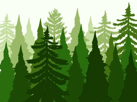 test screenshot