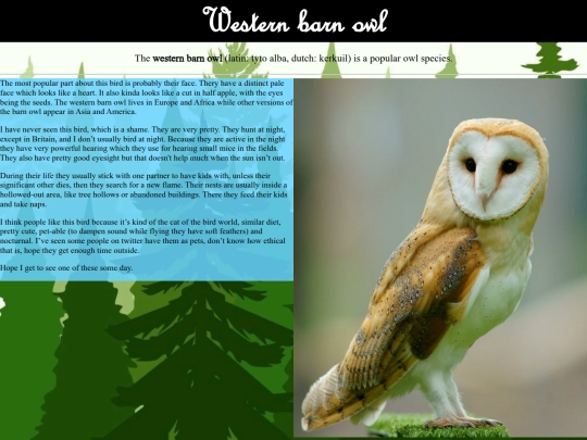 wbarnowl screenshot