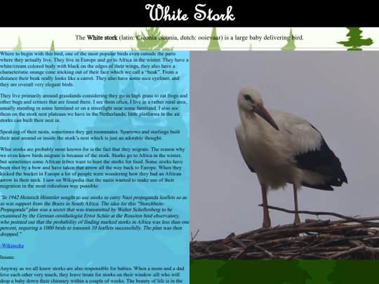 whitestork screenshot
