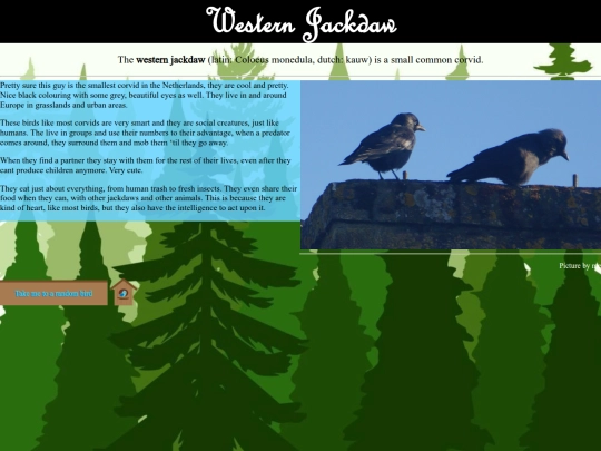 wjackdaw screenshot