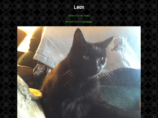 pets/leon screenshot