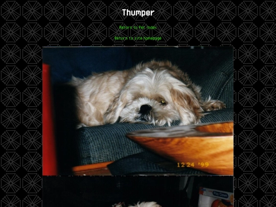 pets/thumper screenshot