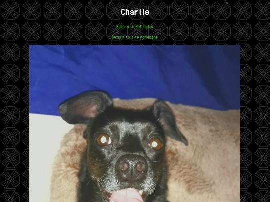 pets/widget screenshot