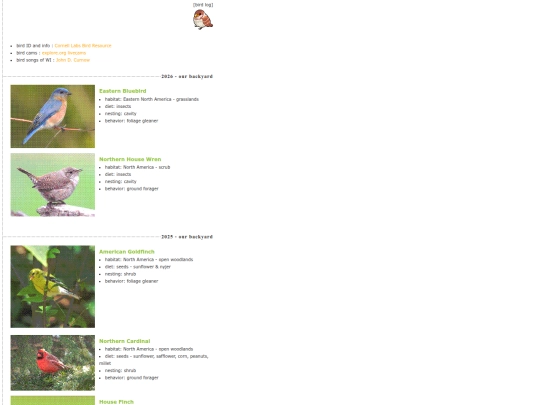 birds screenshot
