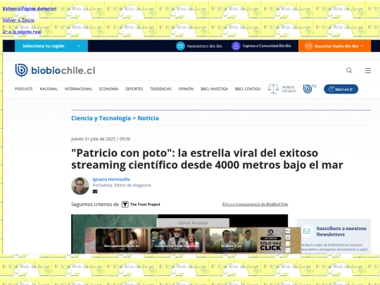 patriciopoto screenshot