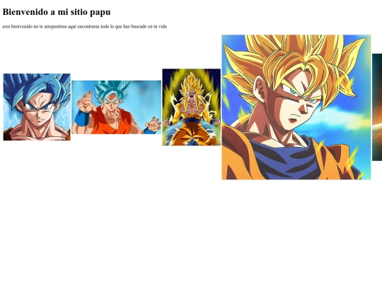 paginaweb01 screenshot