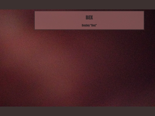 bex screenshot