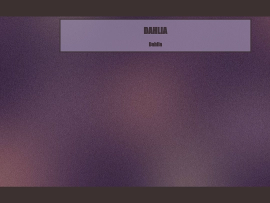 dahlia screenshot