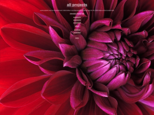 projects screenshot