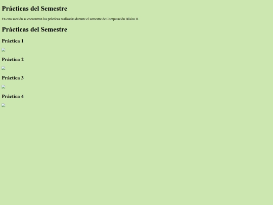 practicas screenshot