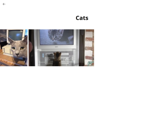 animals screenshot