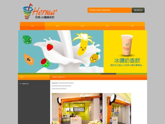 company screenshot
