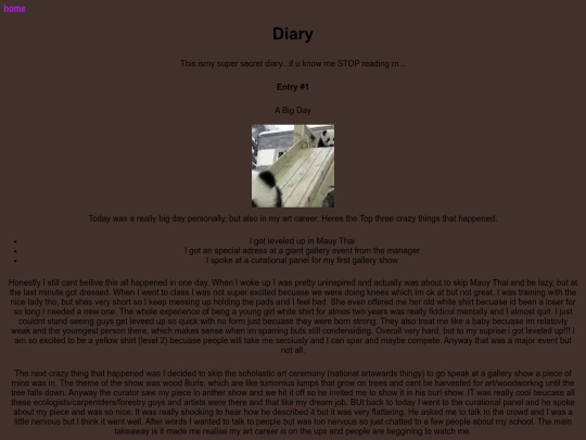 diary screenshot