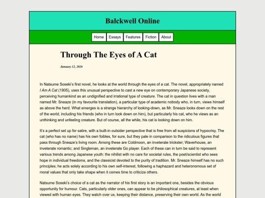 Essays/EyesOfACat screenshot