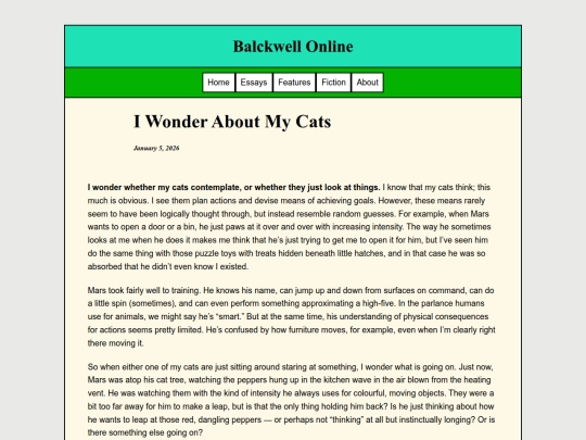 Essays/Wonder screenshot