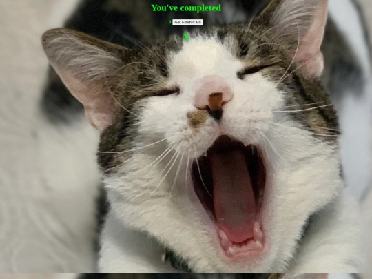 Catflash screenshot