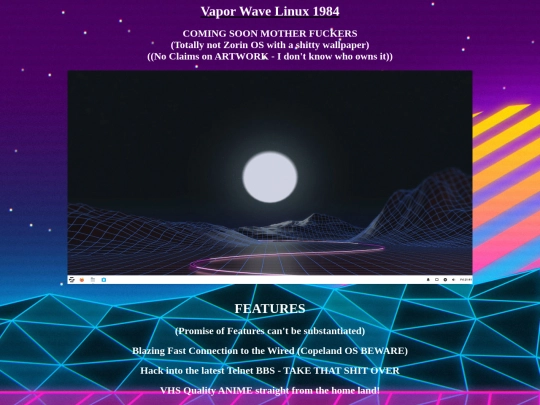vwl1984 screenshot