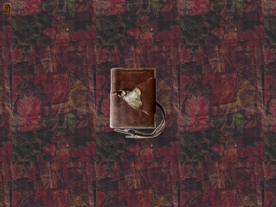 blog-entries/journal screenshot