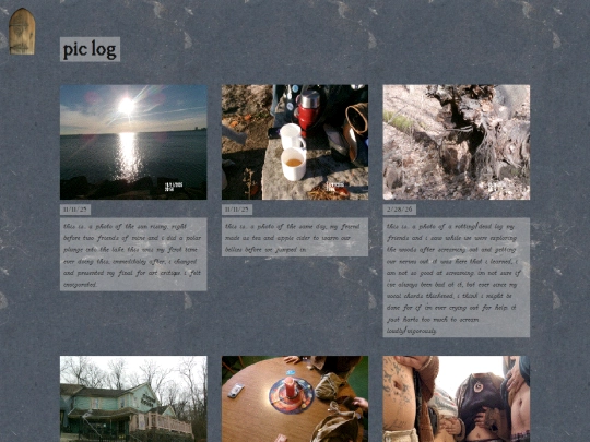 piclog screenshot