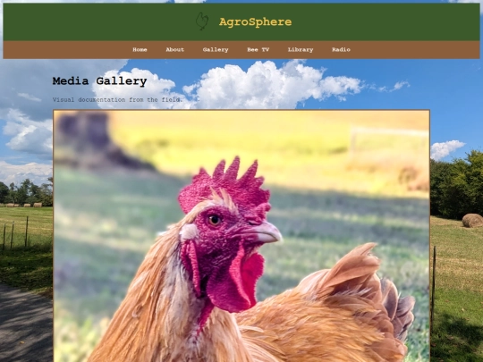 gallery screenshot