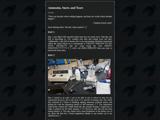 pages/blog/entry2 screenshot