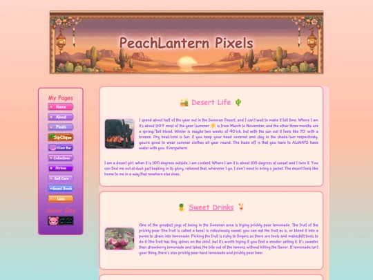 desertlife screenshot