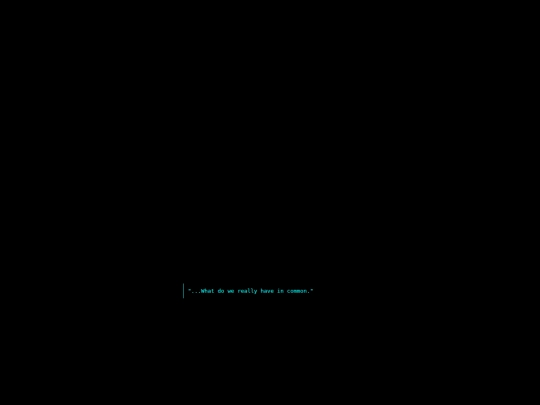 vn/vn1 screenshot