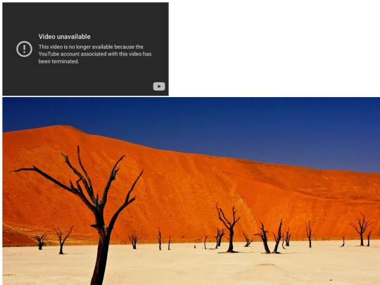 mod2ejercicioOpcional3 screenshot