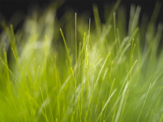 test1 screenshot