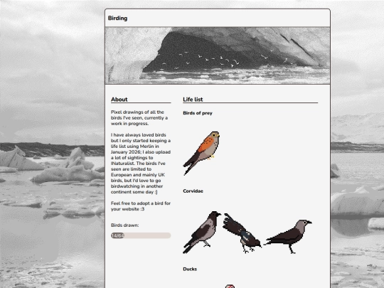 birds/birding screenshot