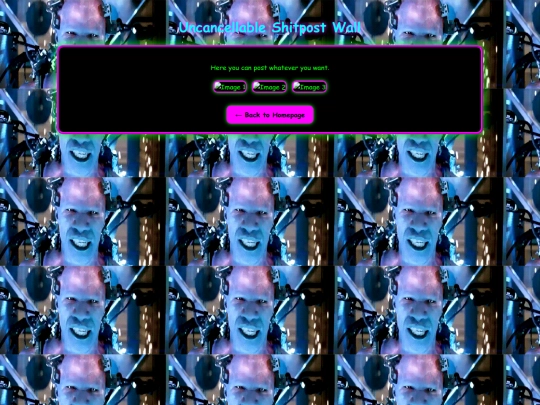 collage screenshot
