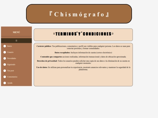Terminos y condiciones screenshot
