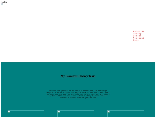 Project/hockey screenshot