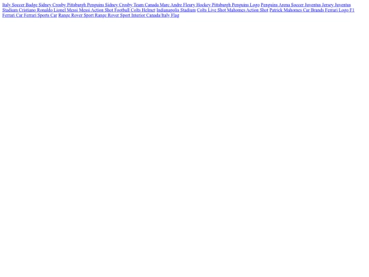 Project/reference screenshot