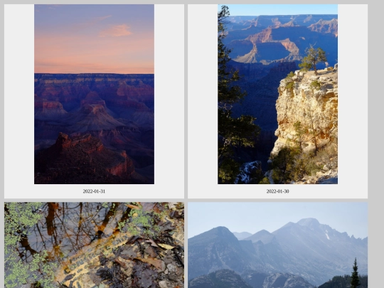 gallery screenshot