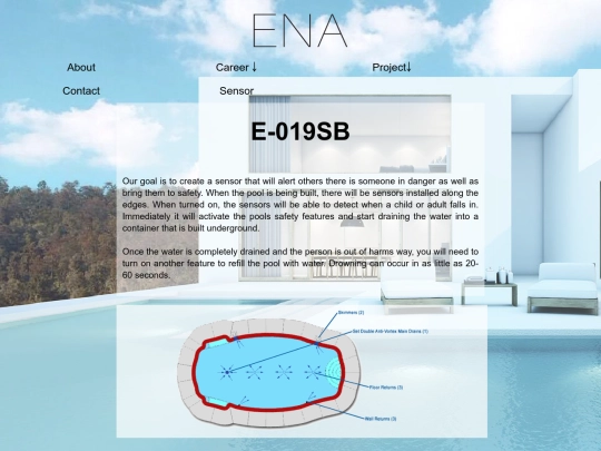project screenshot