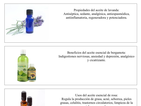 Nutri/productos/aceites screenshot