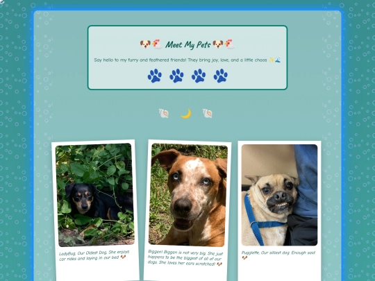 pets screenshot