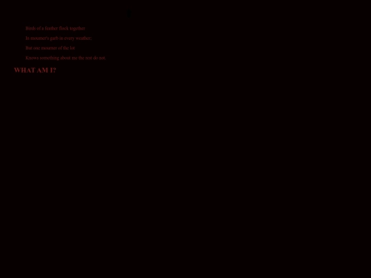 birdsofafeather screenshot
