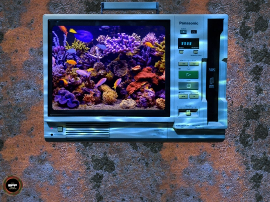 fishTank screenshot