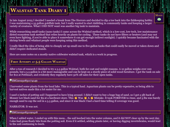 microblog/2025/2025-09-19-Walstad-Tank-Diary-1 screenshot